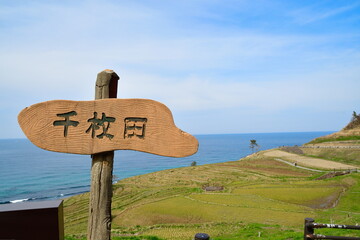 白米千枚田（石川県）