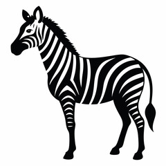 Black and white zebra silhouette african animal