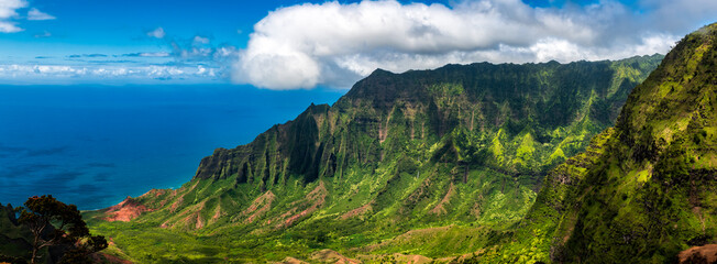 Kalalau lookout panorama on Hawaii island Kauai. The Kalalau Valley and Na Pali coast
