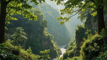 Obraz premium trees in the forest