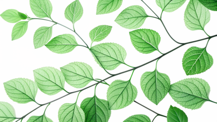 This sentence captures the essence of the tags you provided, avoids complex phrasing, and stays within the character limit Let me know if you want variations!