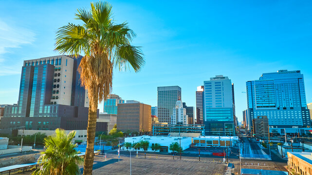 Aerial fly through Phoenix downtown skyline with palm trees at golden hour