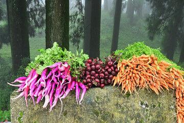 Mules, Beets and carrots , vegetables are being sold at roadside market, Darjeeling, West Bengal,...