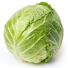 Fresh Whole Green Cabbage Head on White Background