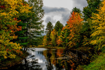 autumn in the forest long a lake