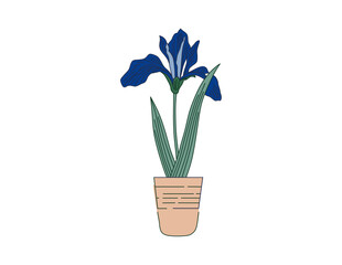 blue flower line art