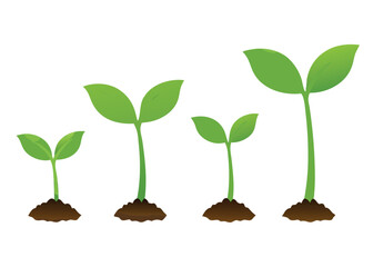 young plant growing from soil vector