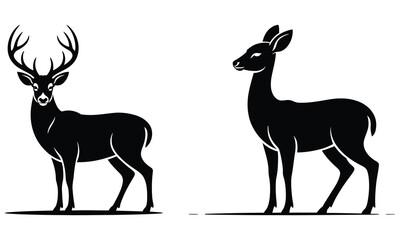 deer vector illustration