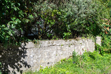 Stone wall covered with greenery. Green thickets behind the wall. wall among abundant greenery. Stone fence in medieval style. warm autumn day