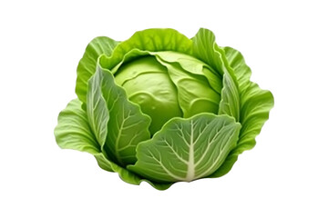 Obraz premium Fresh green cabbage on white background showing healthy organic vegetable