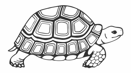 simple geometric turtle line art sketch