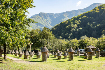 In the green forests of Abkhazia, among the woody vegetation, there are ancient beehives. They are made from a tree trunk