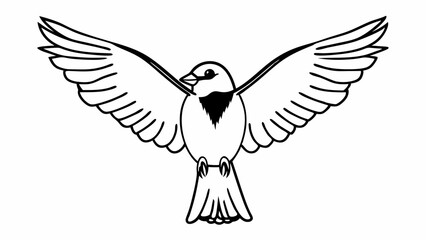 Naklejka premium hummingbird,bird,flying,wings