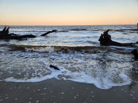 Waves wash over driftwood at Jekyll Island's Driftwood Beach, capturing a serene moment where the sea meets the weathered beauty of the coastal forest.