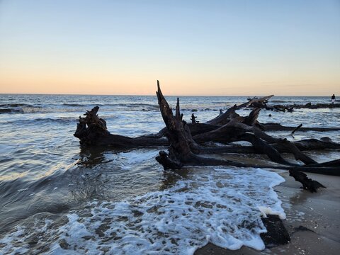 Waves wash over driftwood at Jekyll Island's Driftwood Beach, capturing a serene moment where the sea meets the weathered beauty of the coastal forest.