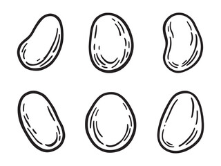 Organic Pinto Beans Line Drawing Set