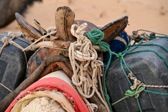 Bidons charg&eacute;s sur le dos d'un dromadaire en Mauritanie