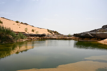 Source d'eau en oasis dans le Sahara de Mauritanie