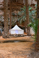 Tente &agrave; l'oasis de Terjit en Mauritanie