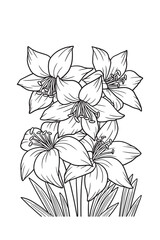 Lily of the valley Flower black and white 