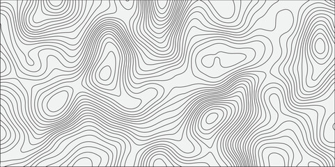 Fototapeta premium Generate a seamless white topographic contour map pattern with smooth, organic line work. The design should appear abstract, with evenly spaced gray contour lines on a light background, 