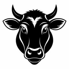 black and white cow