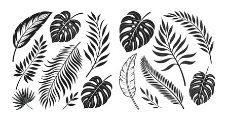 Set of Tropical leaves. Tropical leaves, palm leaves silhouettes, diverse collection, black shapes, design elements, artistic embellishments, leaf vector.  Nature leaves collection vector illustration