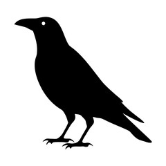 A minimalist silhouette of a crow standing on a white background