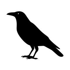 Silhouette of a crow standing isolated on a white background illustration