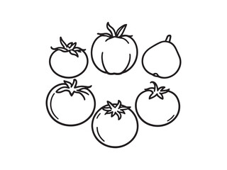 Tomato Line Art Vector Illustration