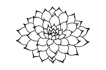 Elegant black and white succulent flower line art design