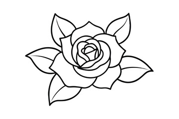 Elegant line art rose flower botanical illustration