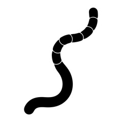 Fototapeta premium Stylized monochrome image of a segmented worm crawling along a white surface