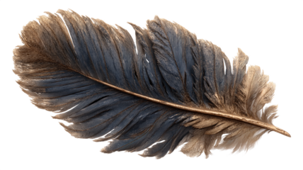 Detailed close-up of a single, textured bird feather with rich brown and gray tones isolated on white transparent background PNG cutout mockup template