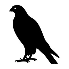 Striking Silhouette of a Bird of Prey, Majestic and Powerful