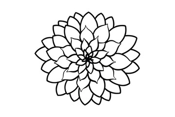 Elegant black and white line art flower design dahlia mandala