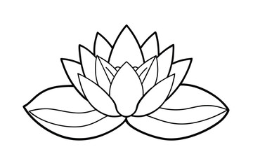 Simple line drawing of a beautiful water lily flower