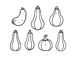 Squash Line Art Illustrations for Kitchen Decor