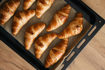 Freshly baked homemade croissants on a baking tray