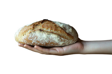Hand Holding Rustic Artisan Bread Png  isolated on a transparent background