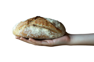 Hand Holding Rustic Artisan Bread Png  isolated on a transparent background