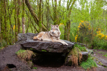 Fototapety na wymiar - Fototapeta24.pl