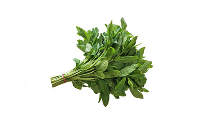 Mint (Menta), fragrant and refreshing herb used in cooking. It aids digestion, relieves respiratory issues, and boosts immunity. Rich in essential oils, vitamins, and antioxidants, it supports health