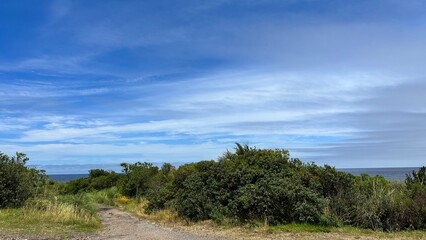 beach, sea, sky, landscape, sand, nature, water, ocean, summer, clouds, tree, grass, travel, coast, island, vacation, palm, lake, dunes, tropical, shore, holiday, blue, sunny, coastline