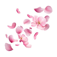 flying pink petals isolated on transparent background cutout 