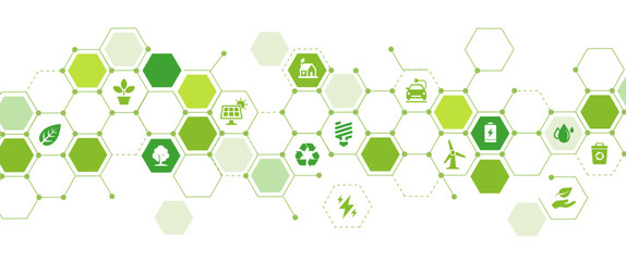 Ecology illustration banner
