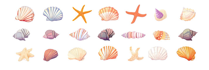 Fototapeta premium Colorful cartoon seashell and starfish collection with various marine shell types in flat minimalist vector style for beach and ocean themes