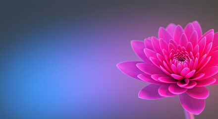 Vibrant Pink Lotus Flower Blossom on Soft Blue Gradient Background