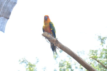 all animals that live in the zoo