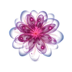 Fototapeta premium Modern digital flower fractal design, isolated to transparent background, vector style --raw --v 7.0 --p 537mr6h